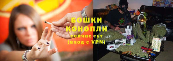 стаф Дмитриев
