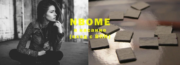 стаф Дмитриев