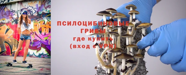 первитин Дмитров