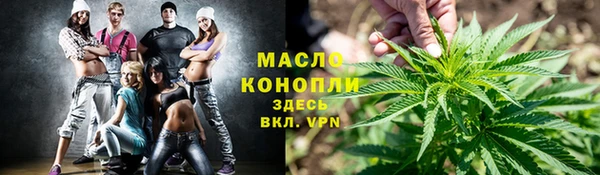 стаф Дмитриев