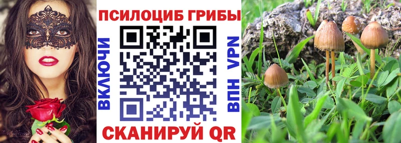 Галлюциногенные грибы прущие грибы  Трубчевск 
